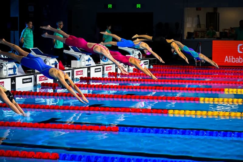 Swimmers dive into the pool from starting blocks