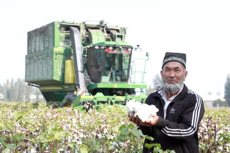 Andijon tumani paxtakorlarining shijoati baland