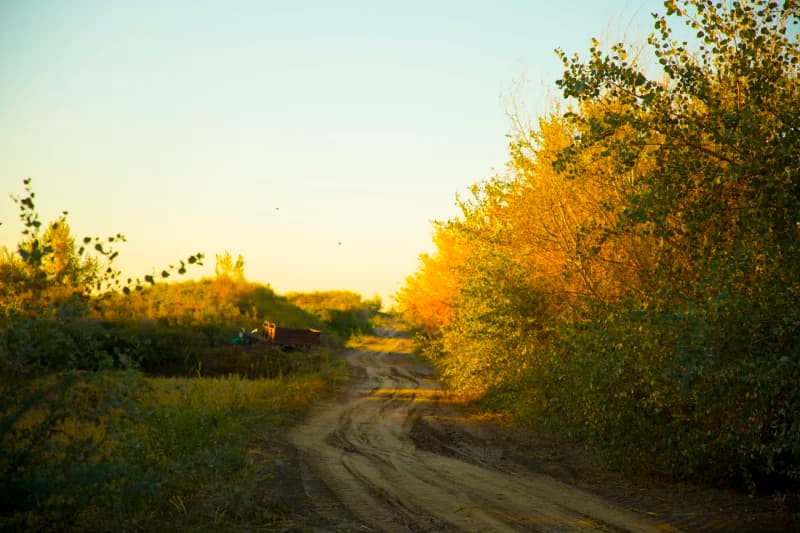 0B1A0754 копия