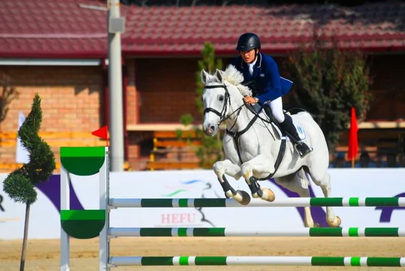 Equestrian rider jumping a white horse over a fence