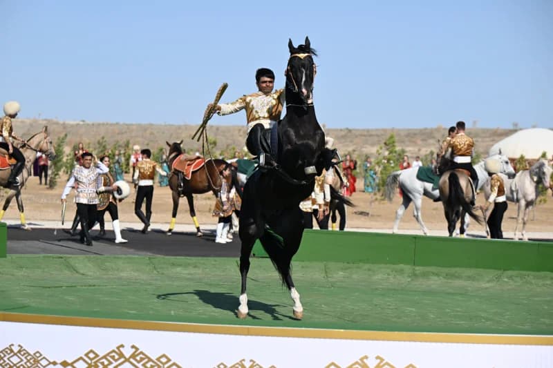 Horseman performing with a rearing horse outdoors