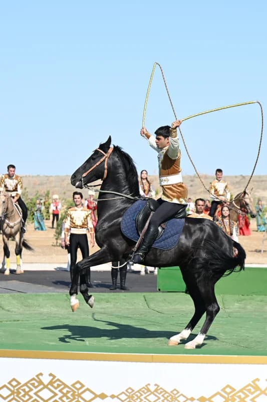 Horseman performing on a rearing horse during an outdoor event