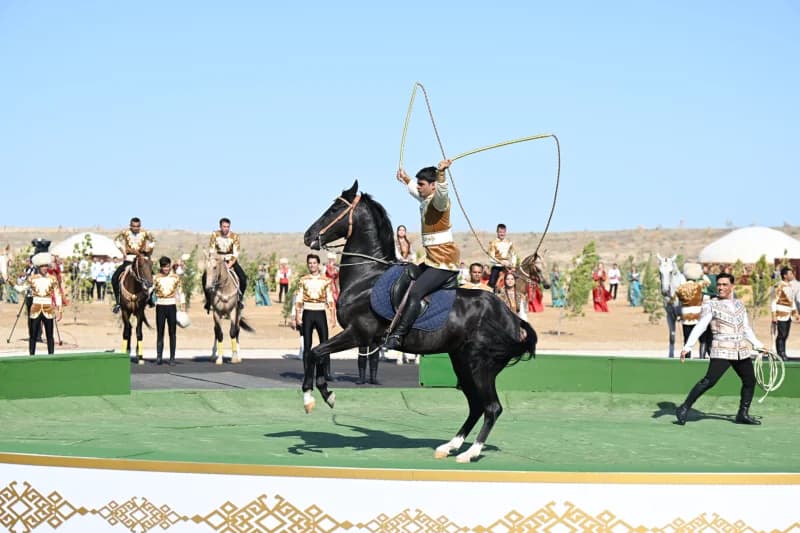 Equine performance with traditional clothing