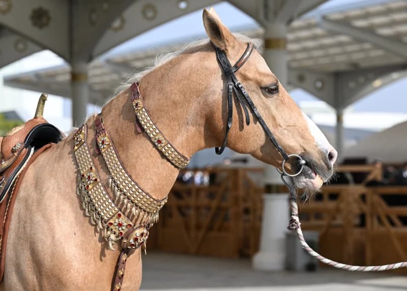 Detailed view of an ornate horse harness on a saddled horse