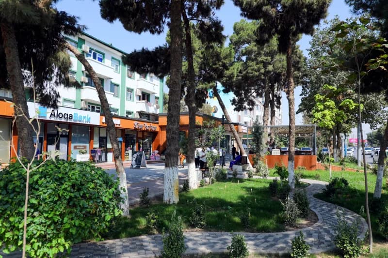 Urban street view with shops, trees, and pedestrian walkway