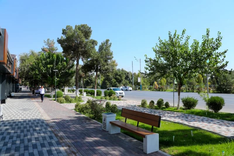 Paved sidewalk alongside a multi-lane roadway with trees and parked cars