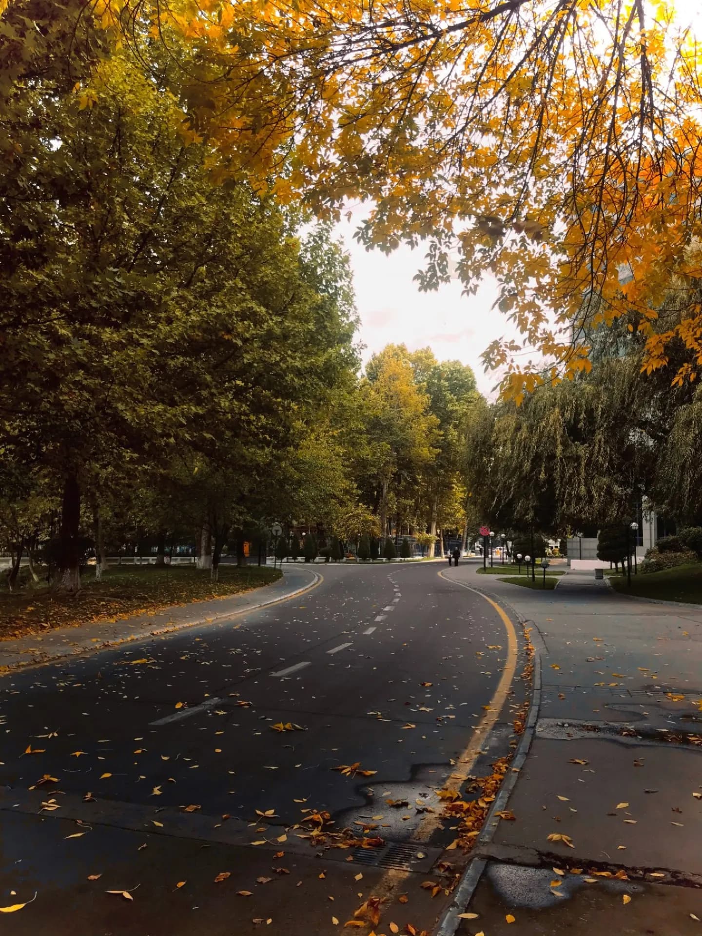 Kuzgi Toshkent