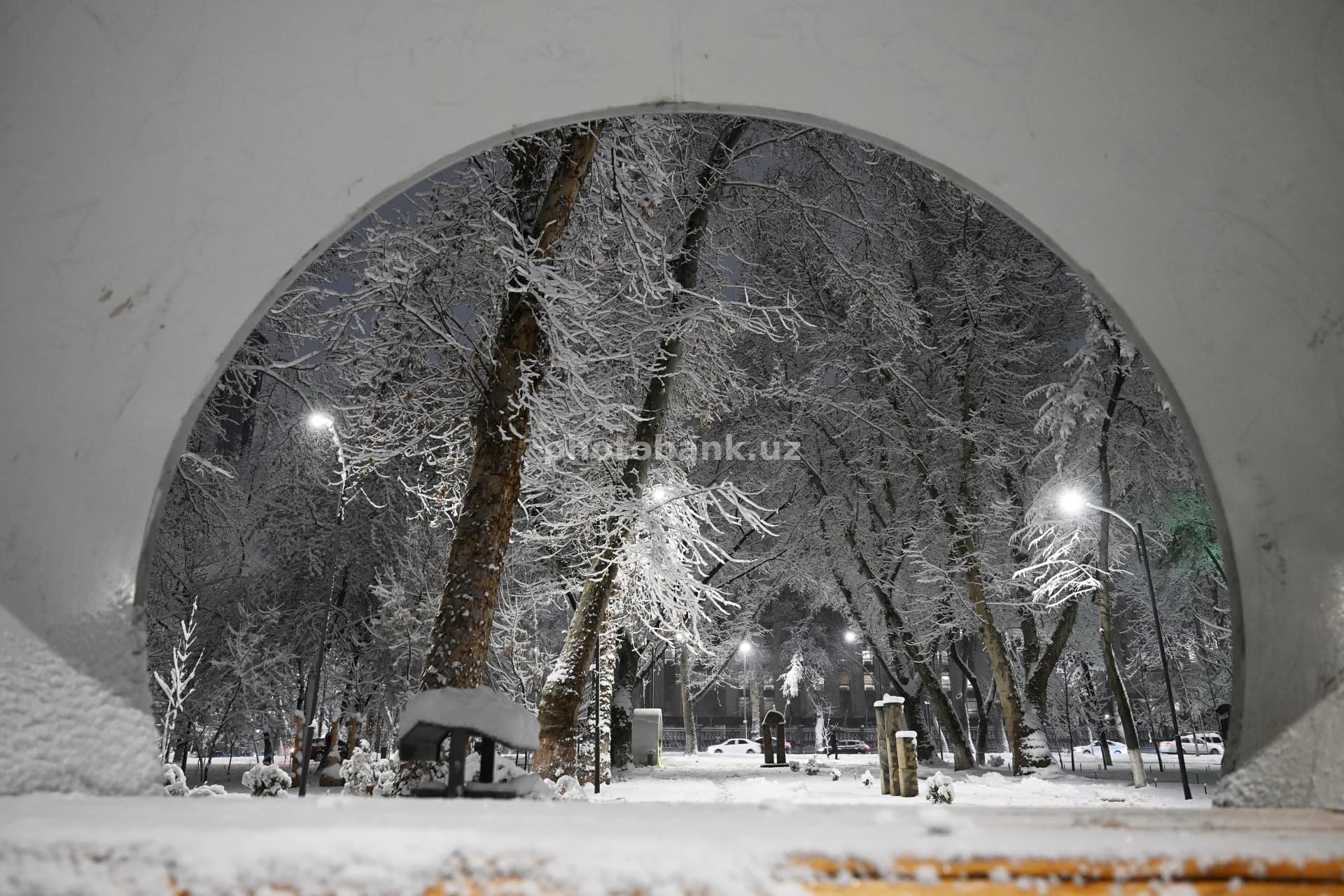 Tunda qor bilan qoplangan park