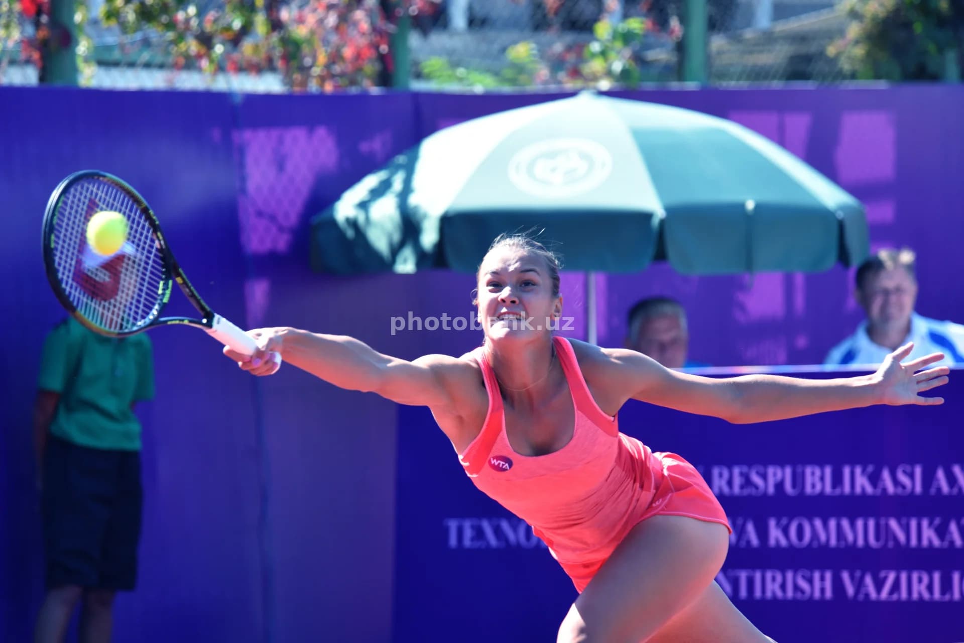 Professional tennischi to‘pni urmoqda