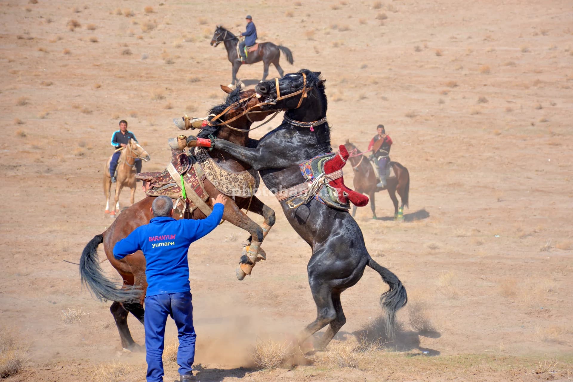 Traditional Kokpar Match in Open Field