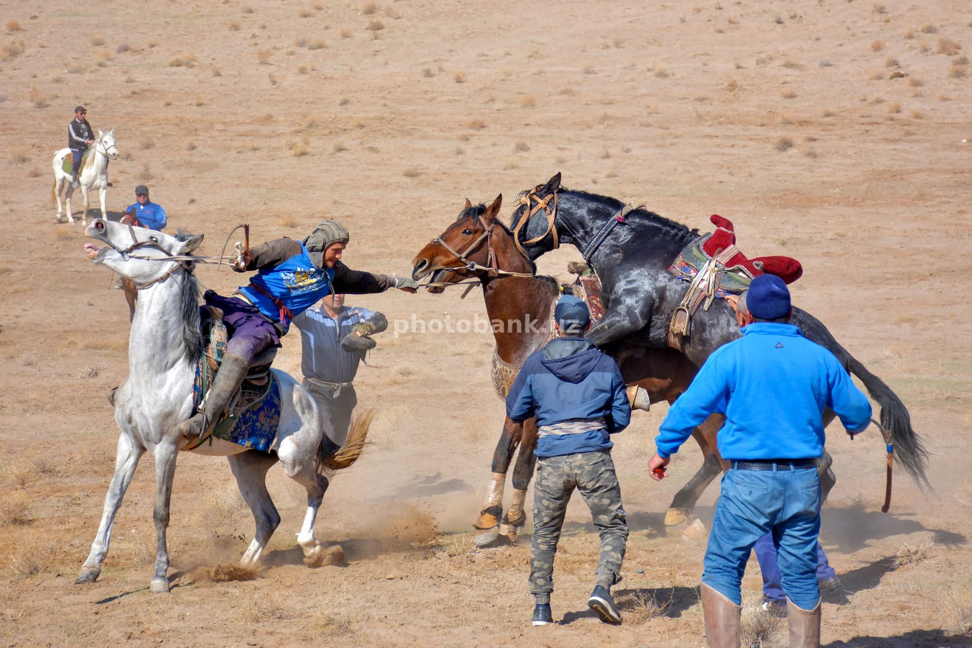 Traditional Kokpar Horseback Competition