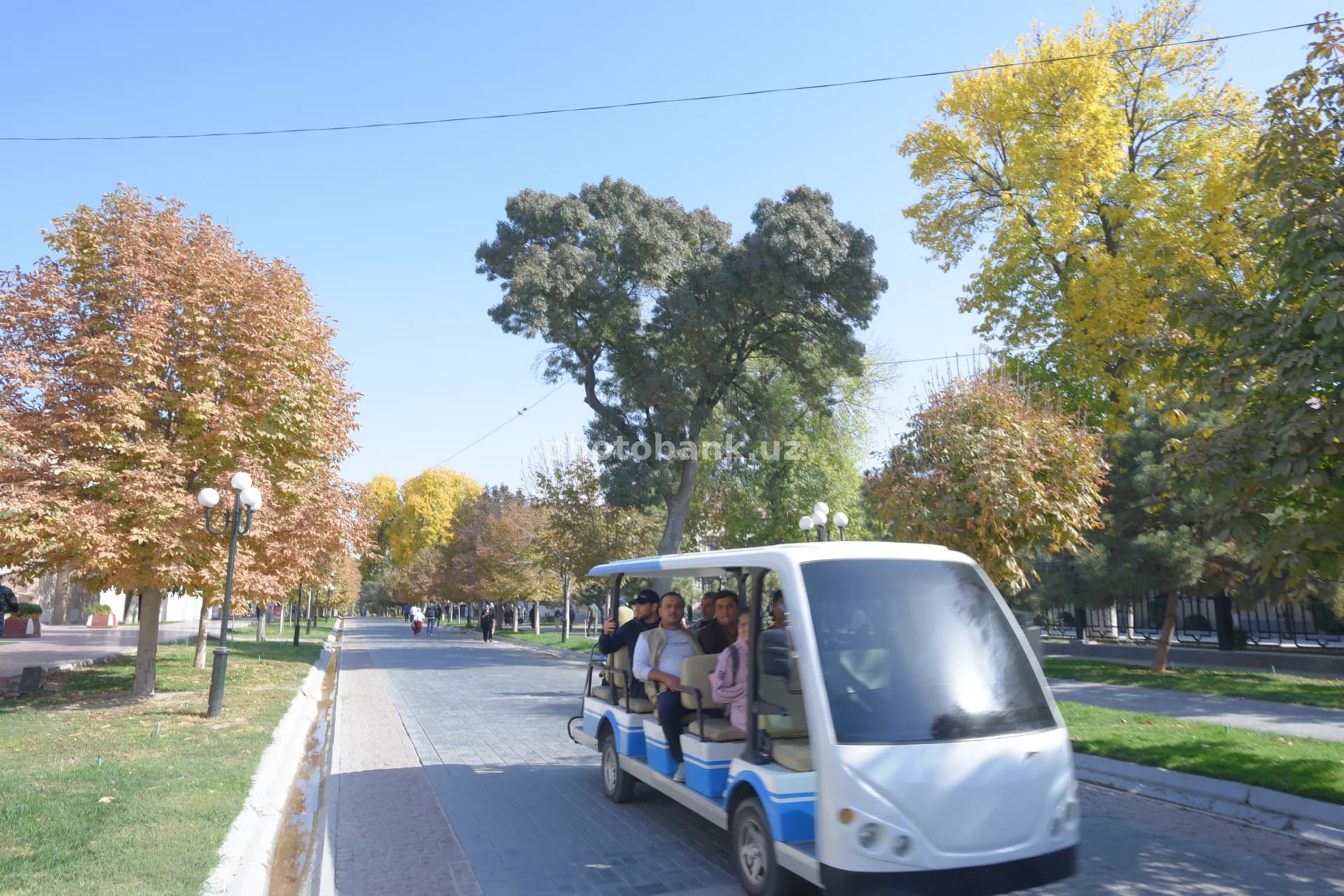 Tourists riding electric shuttle in park