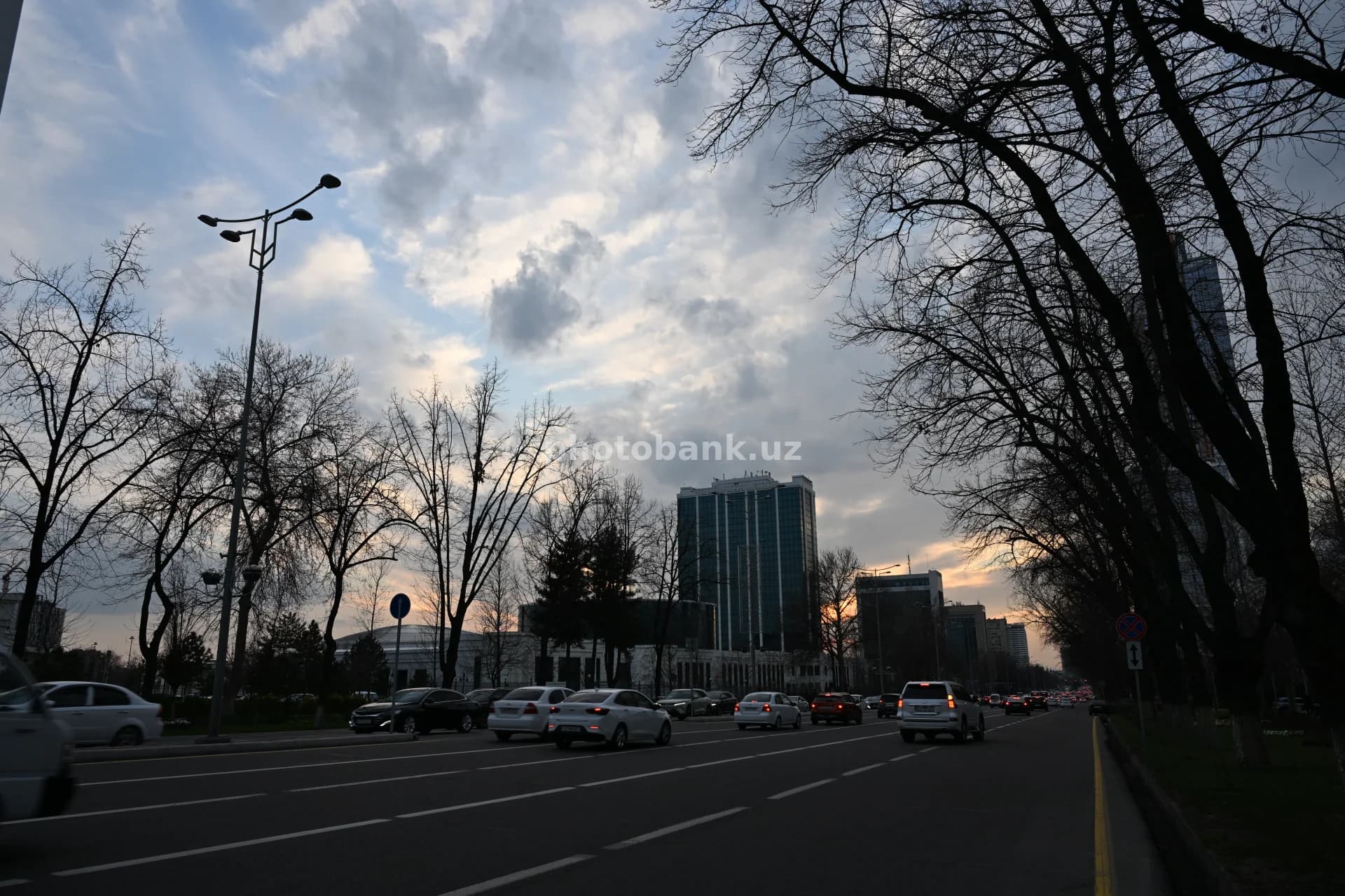 Evening traffic on a city street