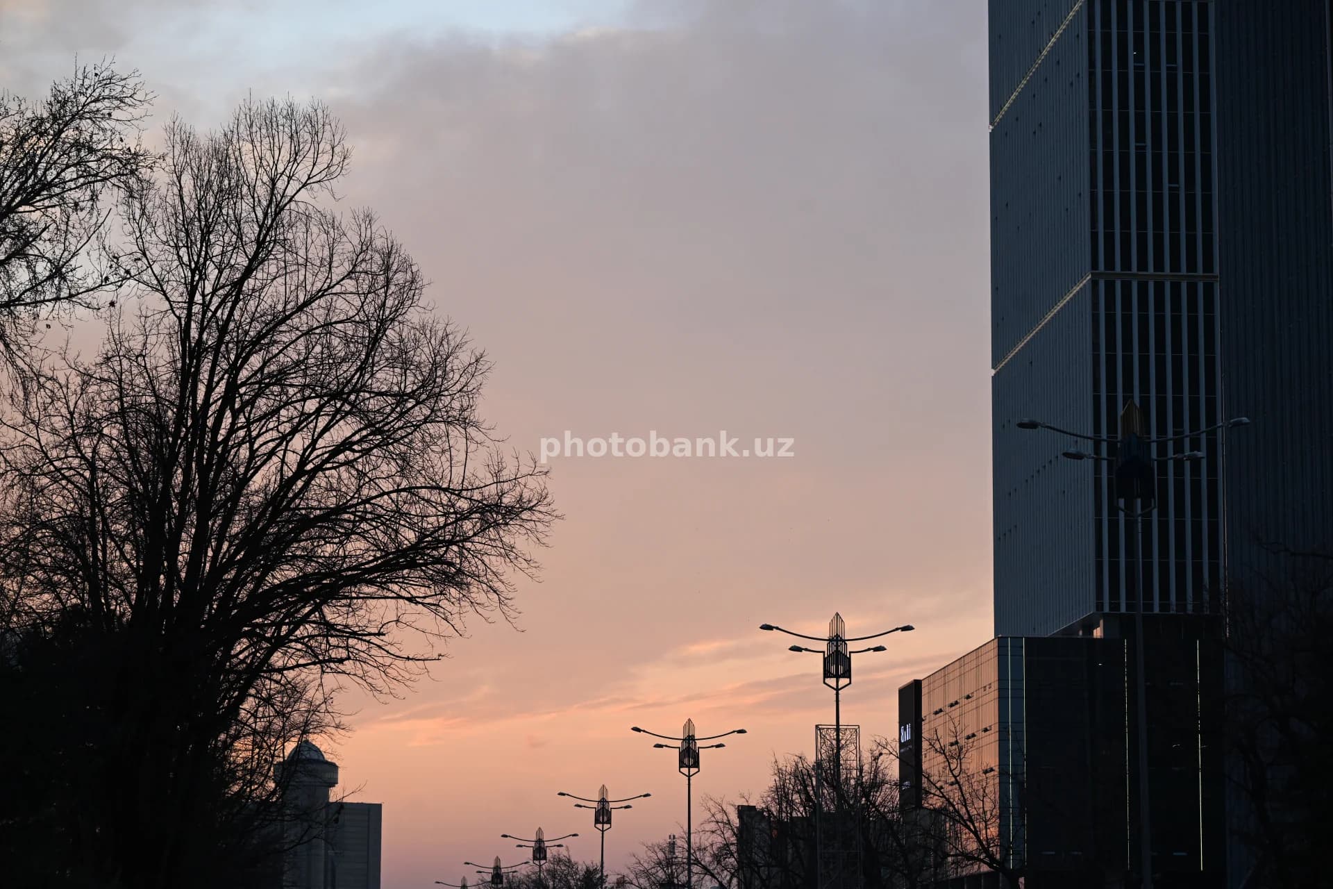 Modern Skyscraper at Sunset