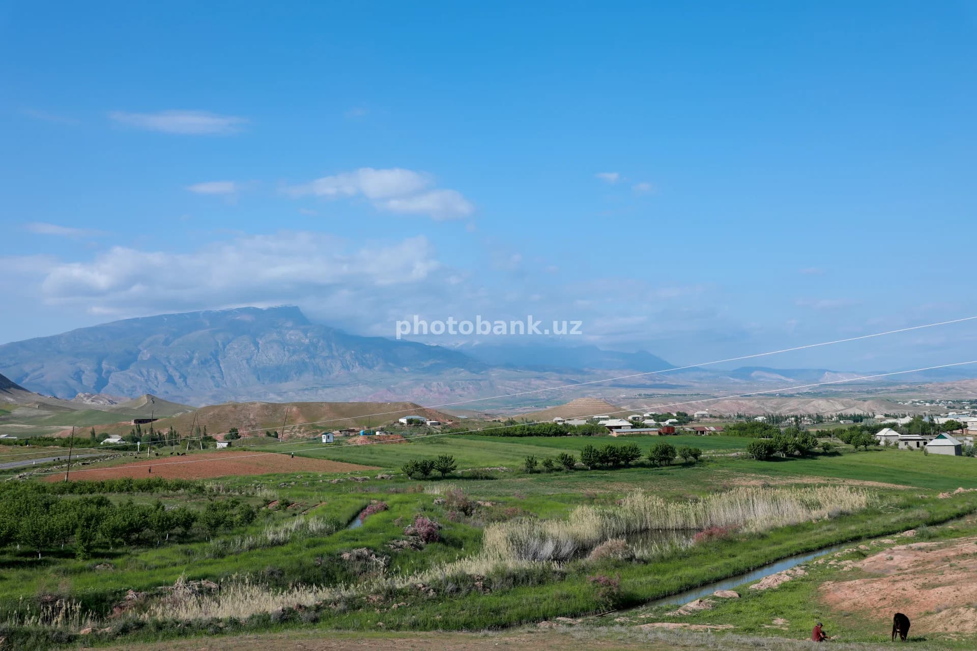 Rural Landscape with Mountains and Fields