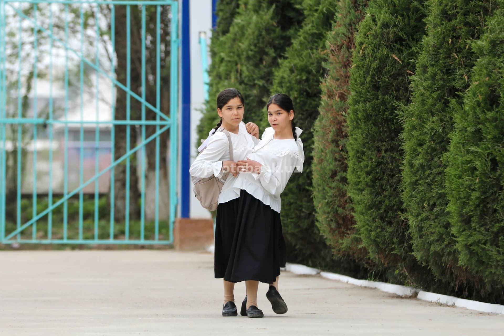 Siyam egizaklari