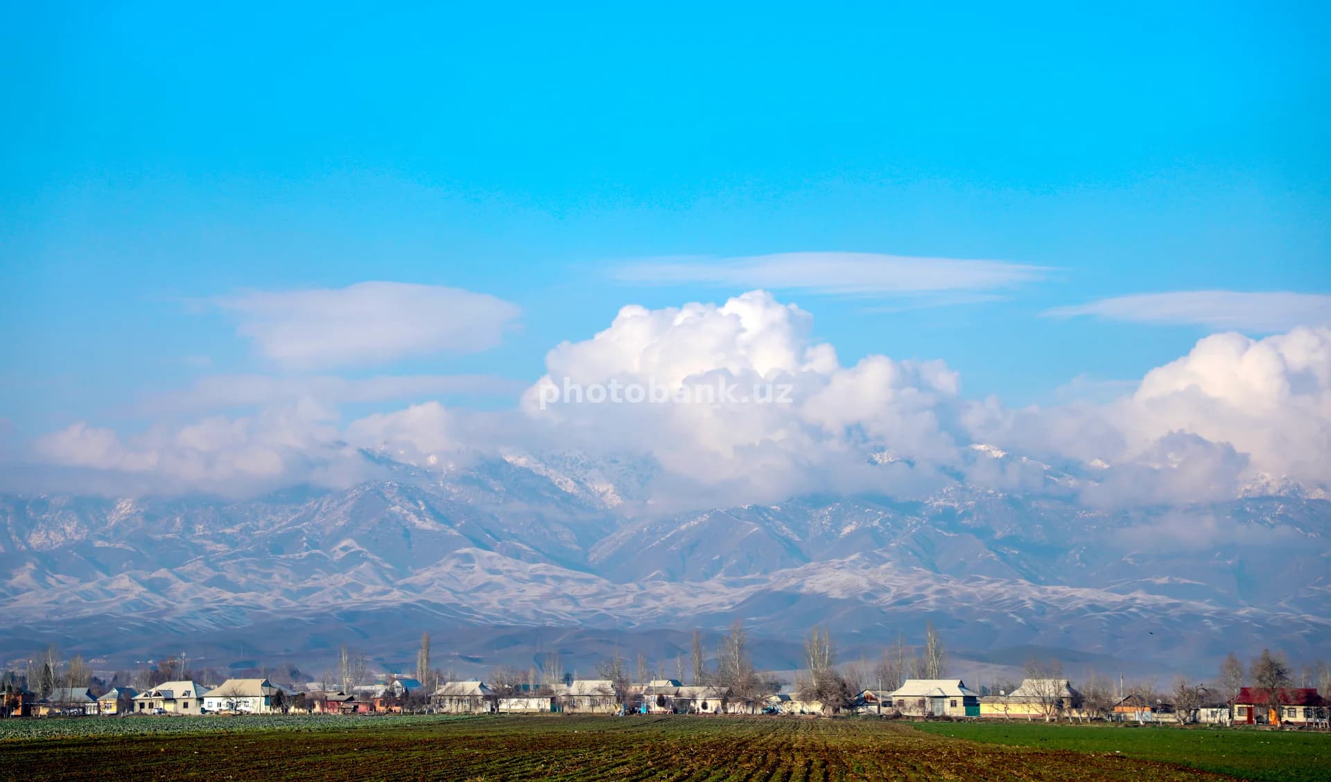 Rural Village Beneath Snowy Mountains