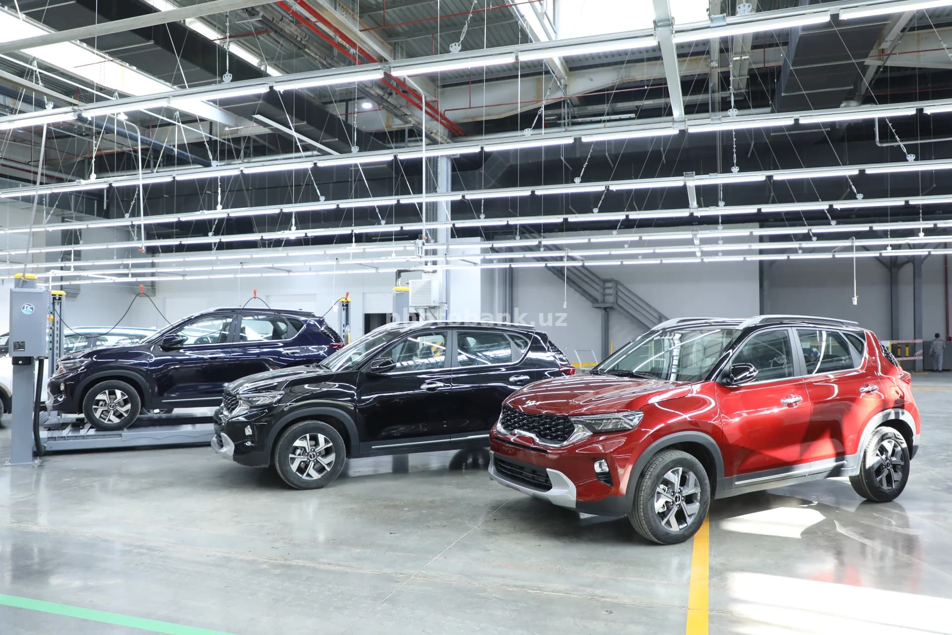 New Kia SUVs at assembly plant
