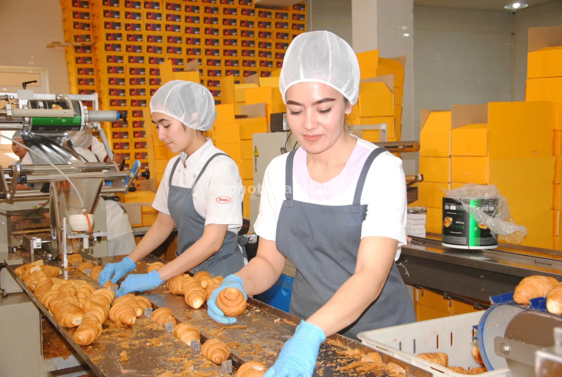 Workers packing croissants at food factory