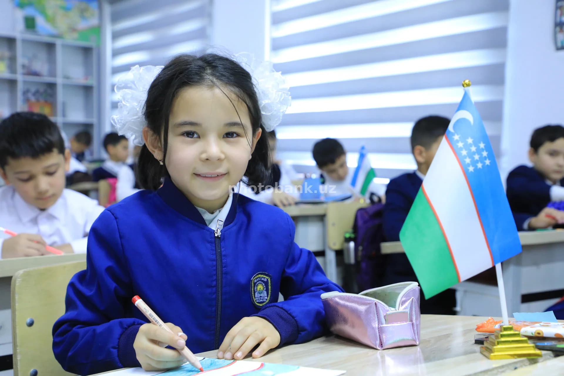Schoolgirl Studying in Classroom