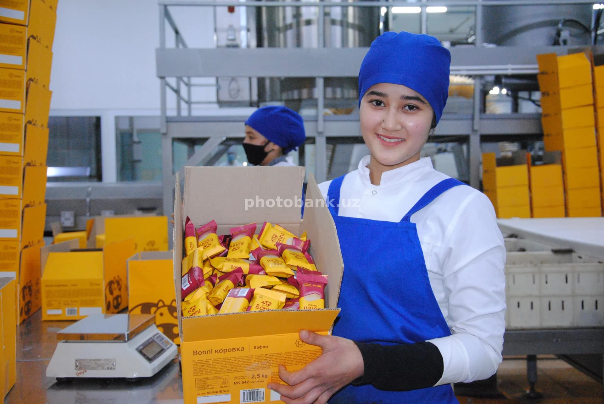 Worker packing wafers at food factory