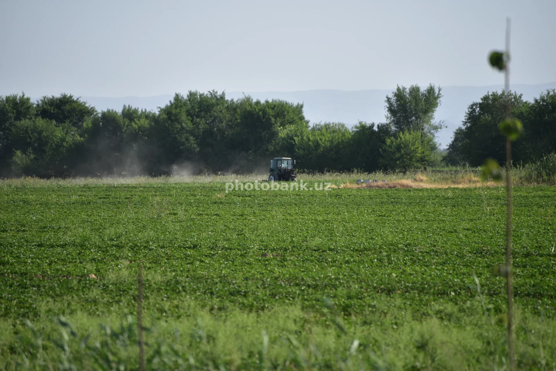 Qishloq xo‘jaligi dalasida ishlayotgan traktor