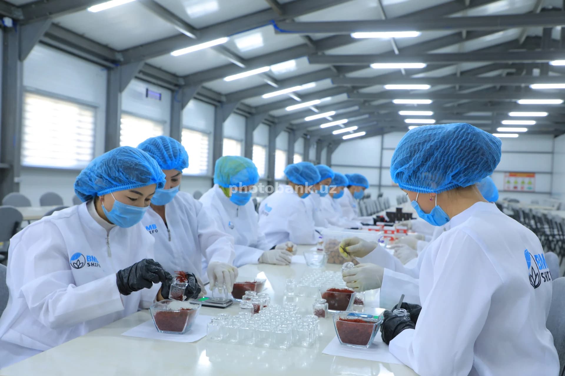 Workers packaging saffron in production facility