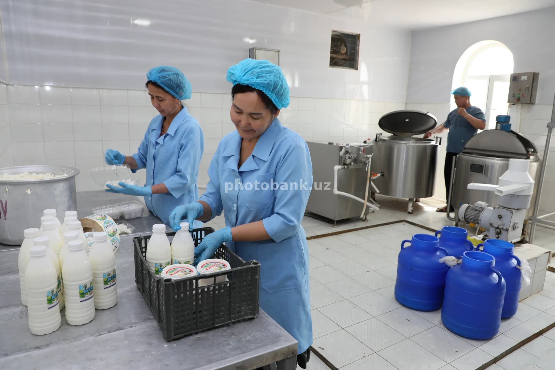 Workers processing dairy in factory