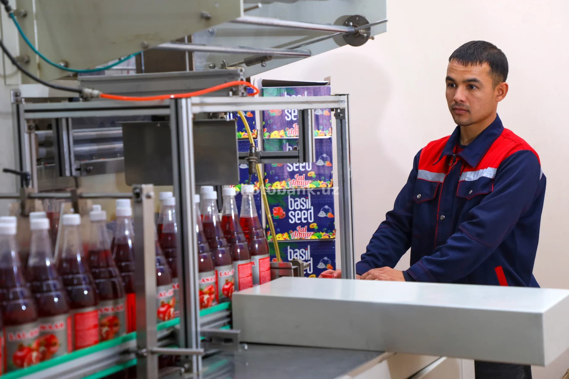 Worker monitors automated beverage line