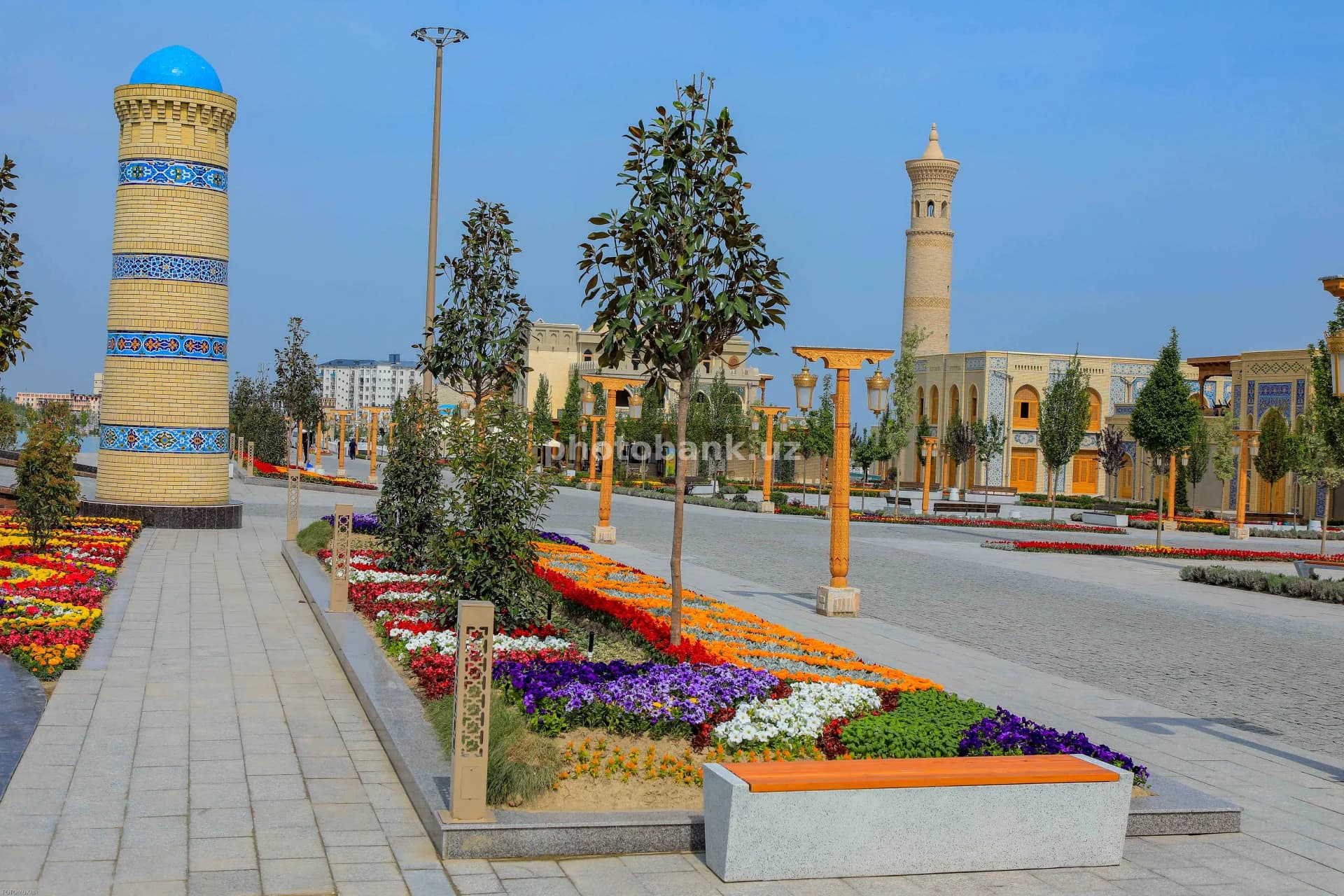 Sunlight illuminates the public park