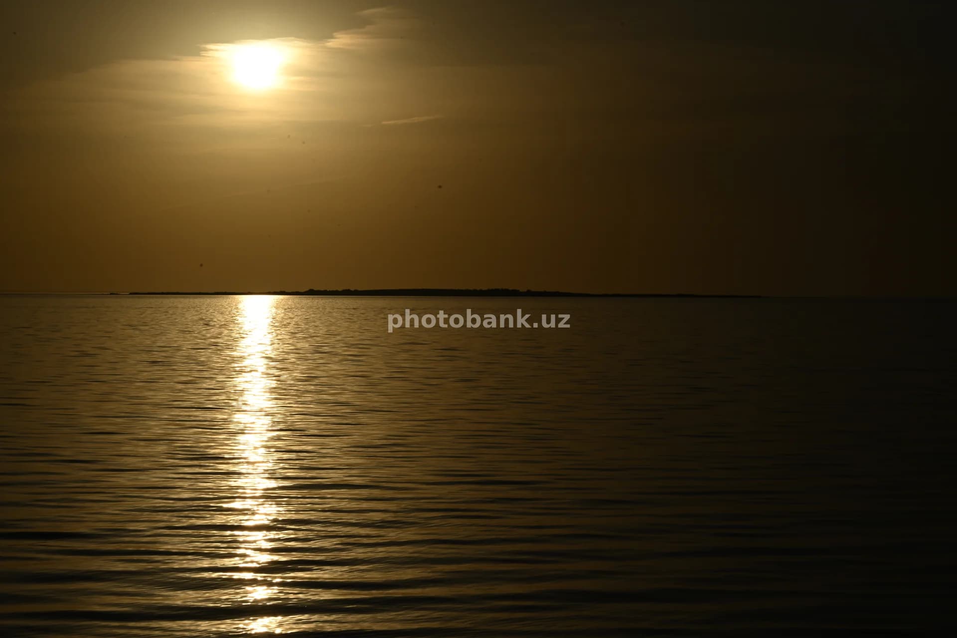 DSC 0836