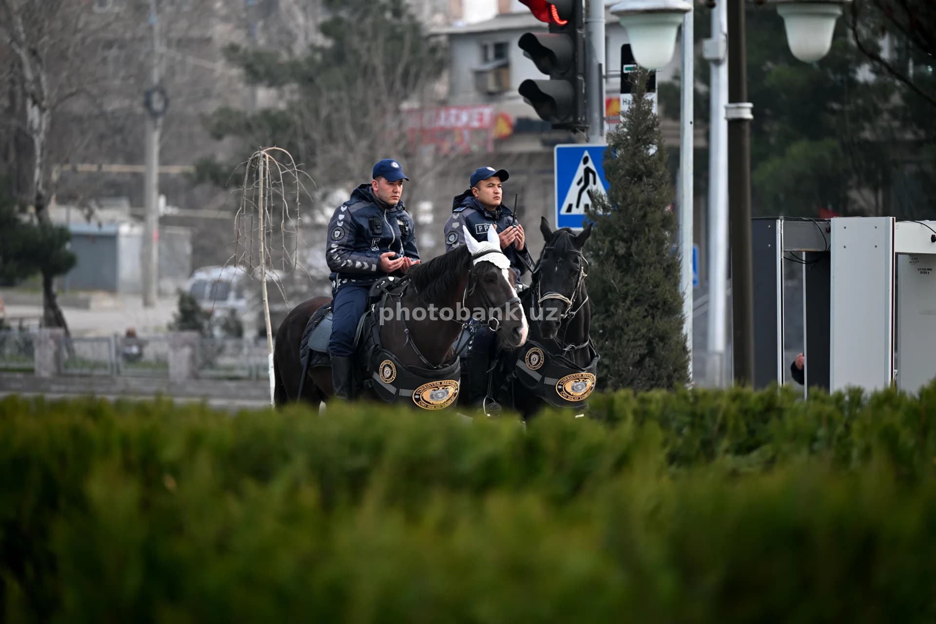 Конная полиция патрулирует улицы города