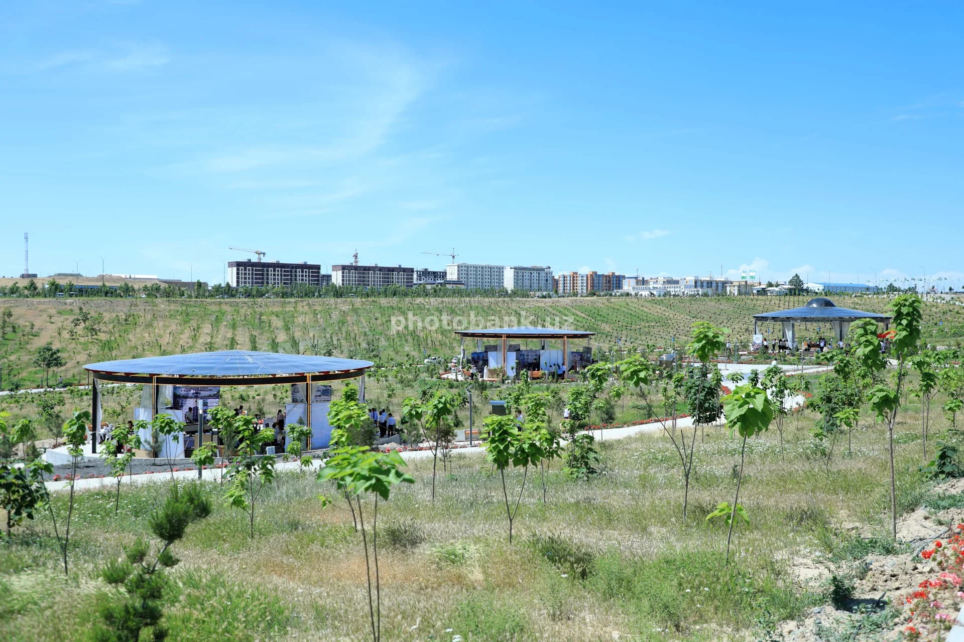 People gather in park pavilions