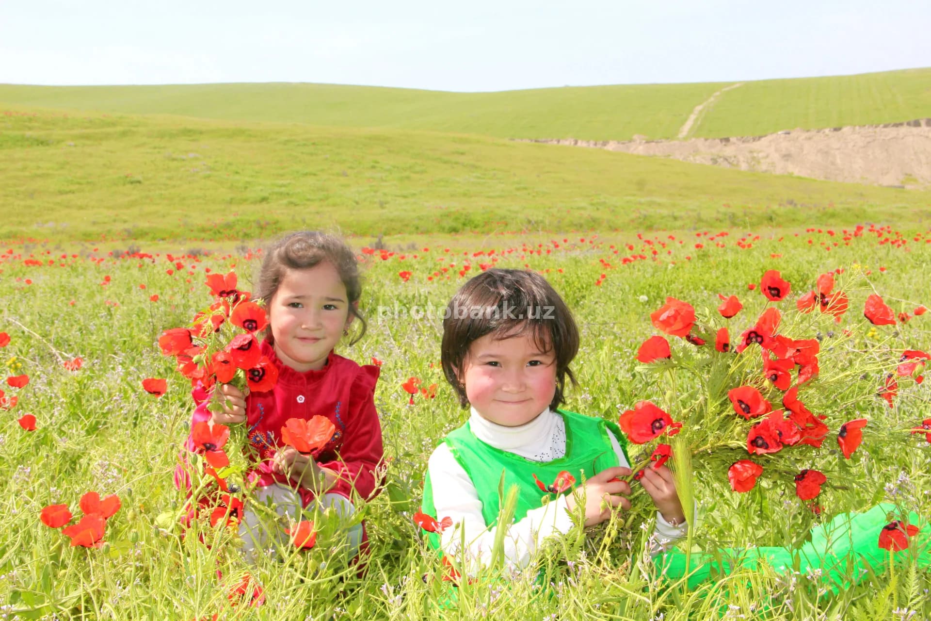 Two girls picking red poppies