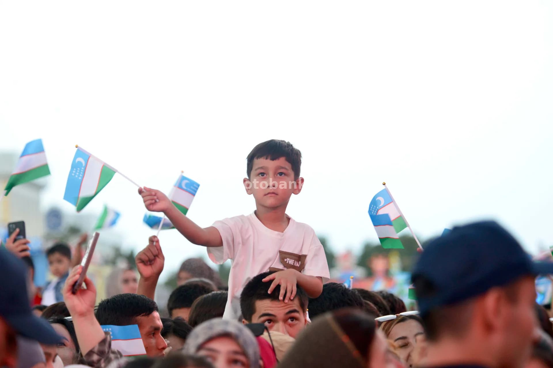 Young boy waving national flag