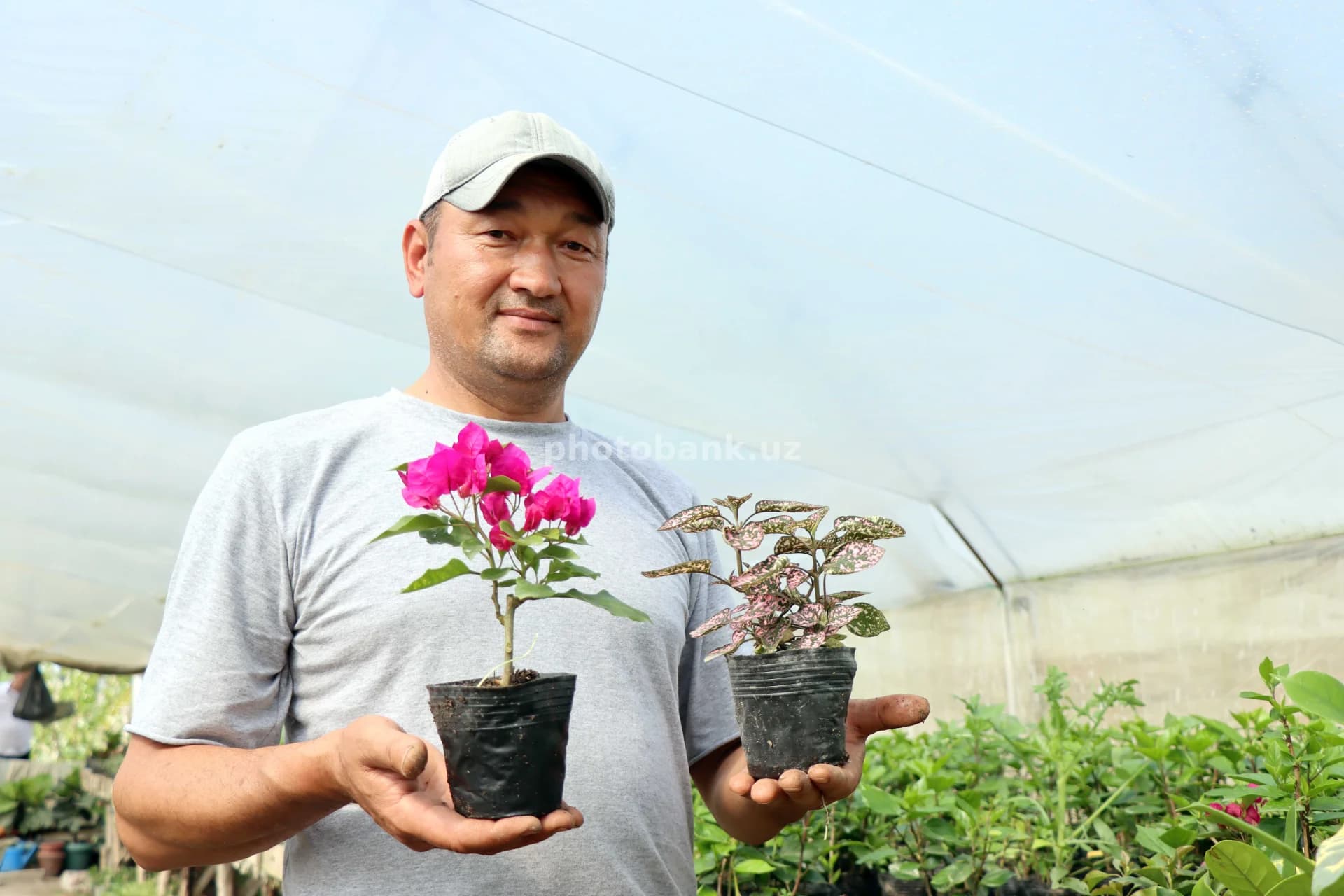Farmer holding small potted plants