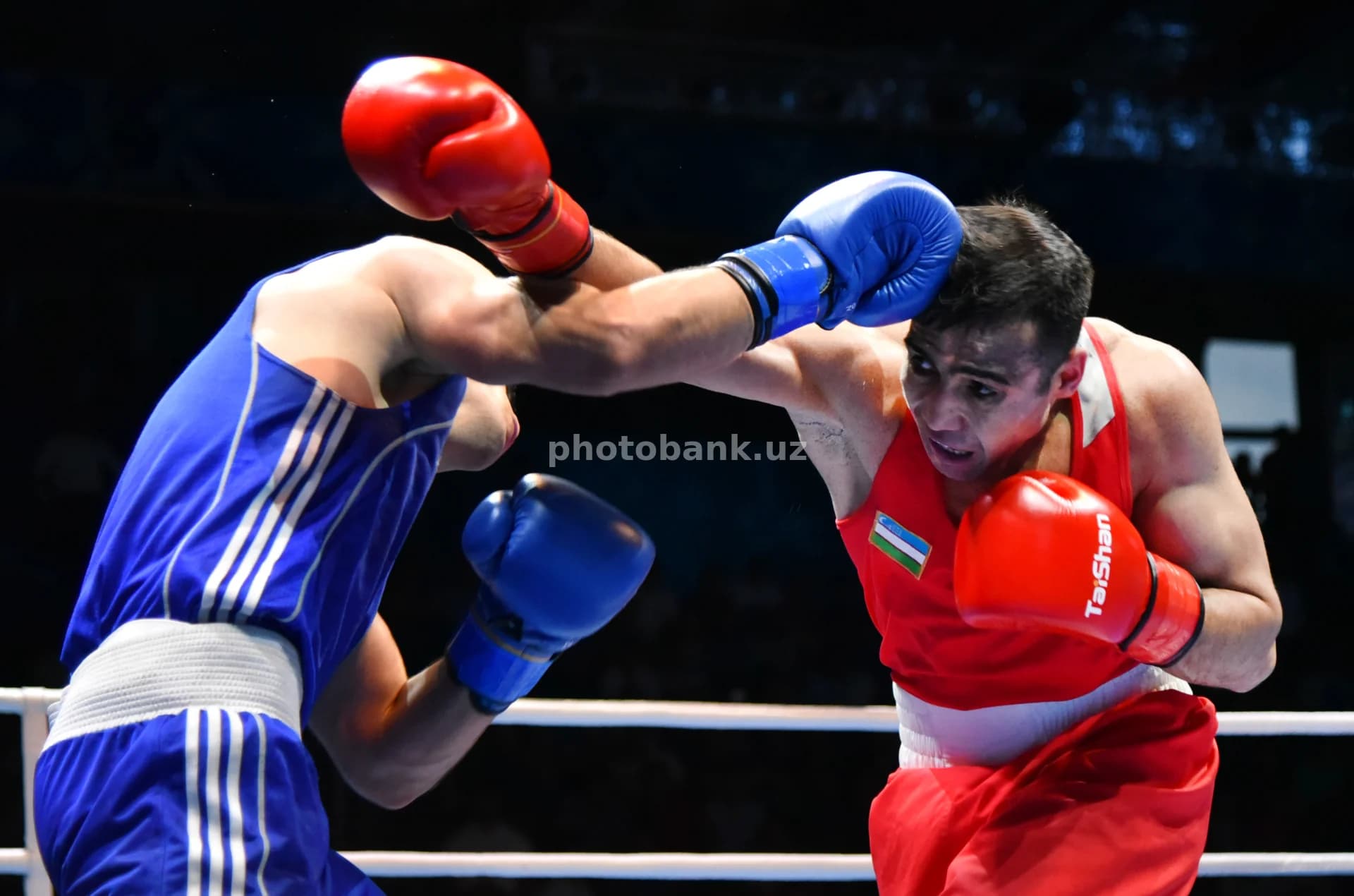 boxers competing in professional match