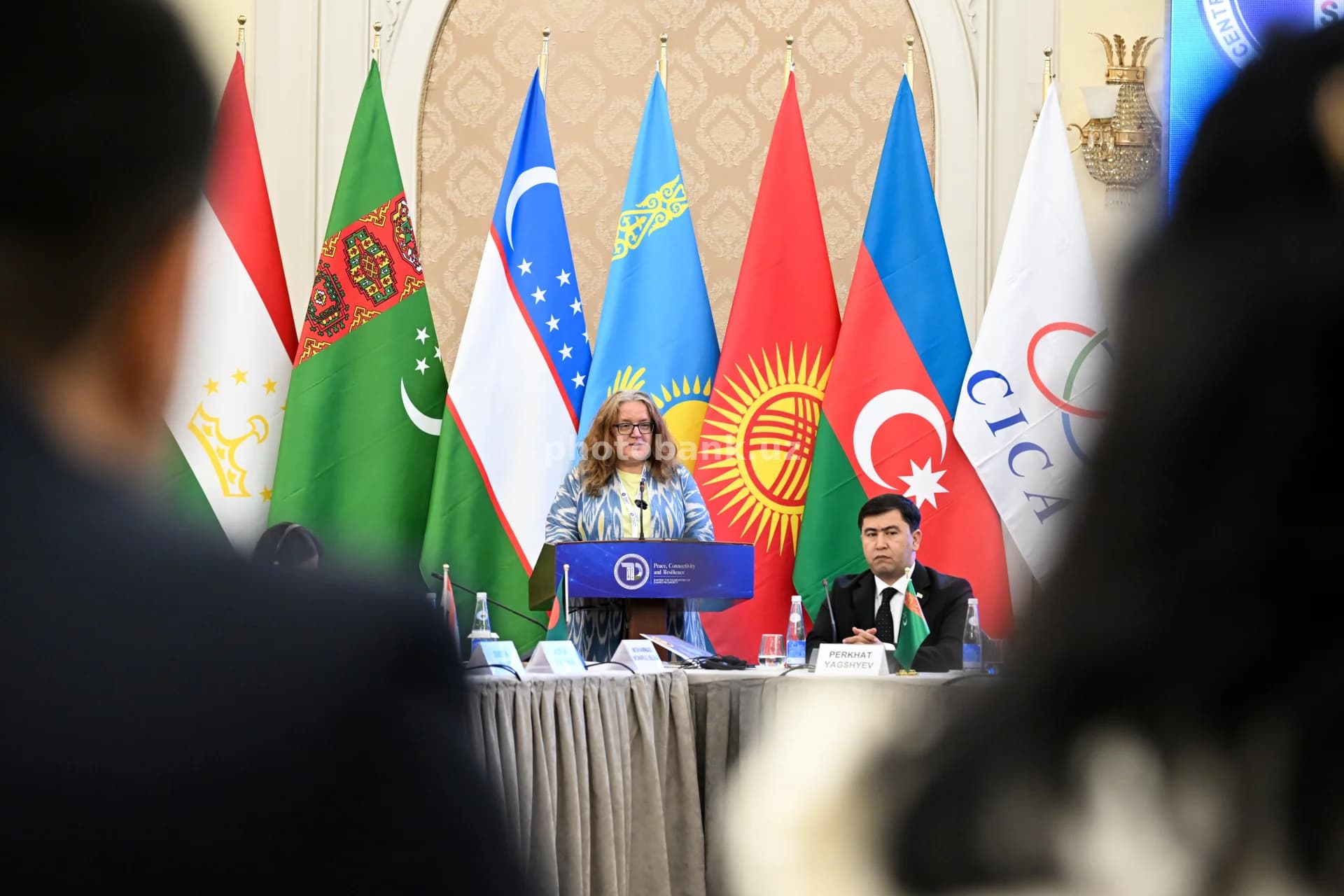 Delegat xalqaro sammitda nutq soʻzlaydi