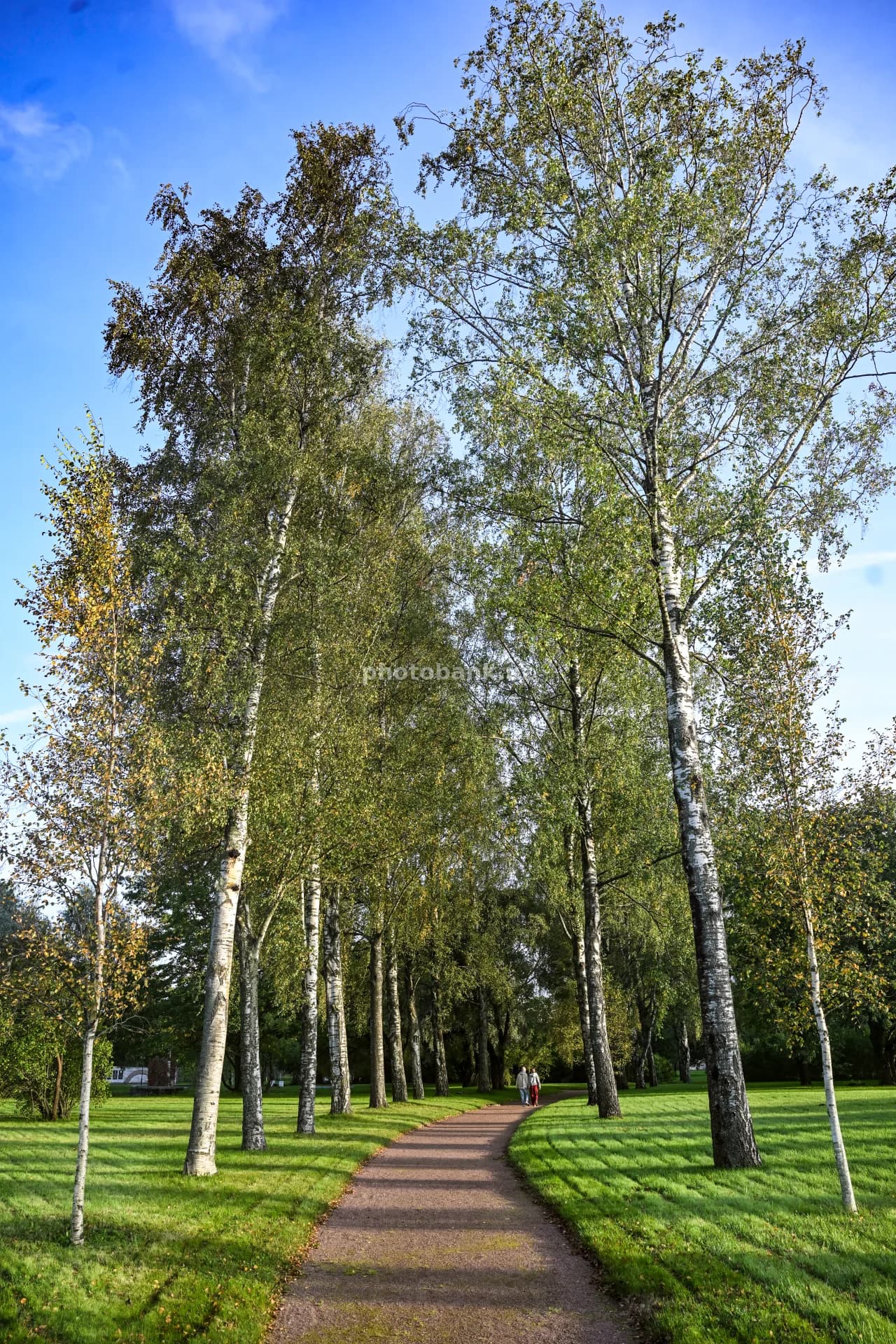 Park yoʻlakchasida sayr qilayotgan odamlar