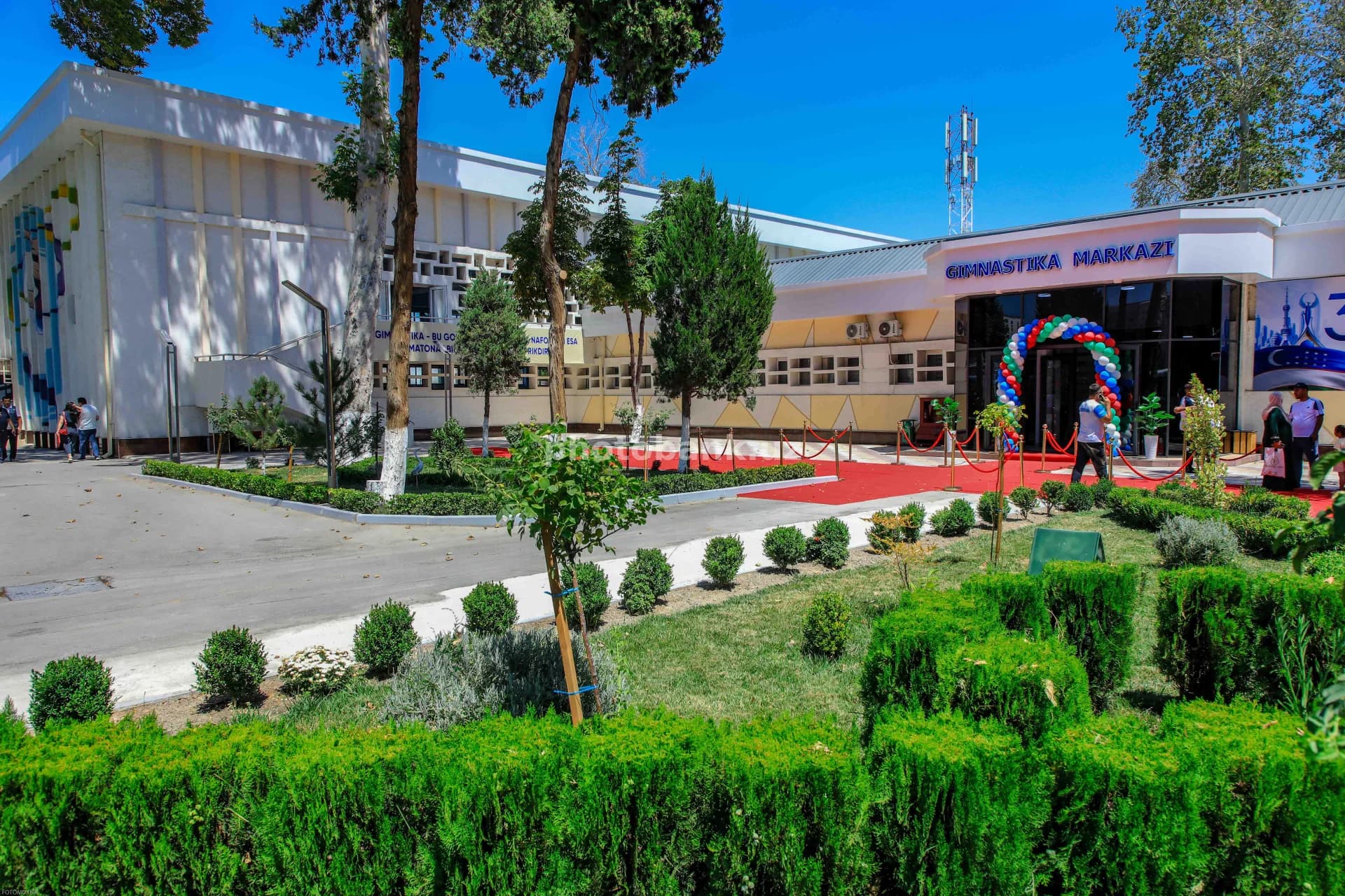 QMM 9681