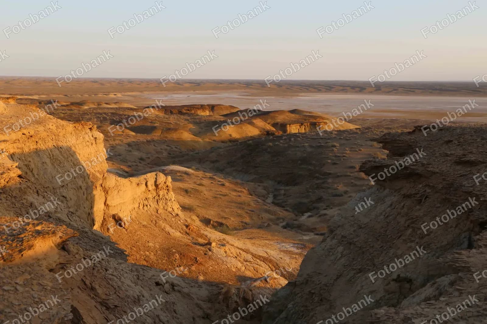 саҳро кенгликлари