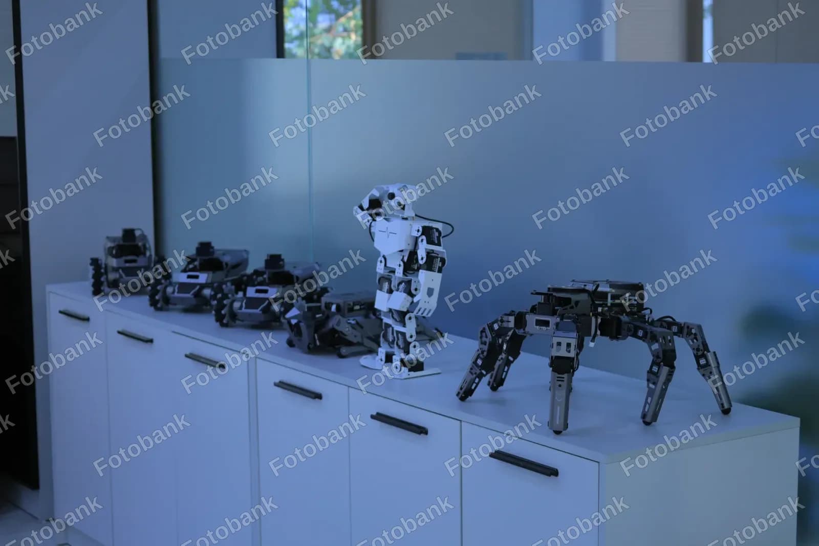 Small robots stand on shelf
