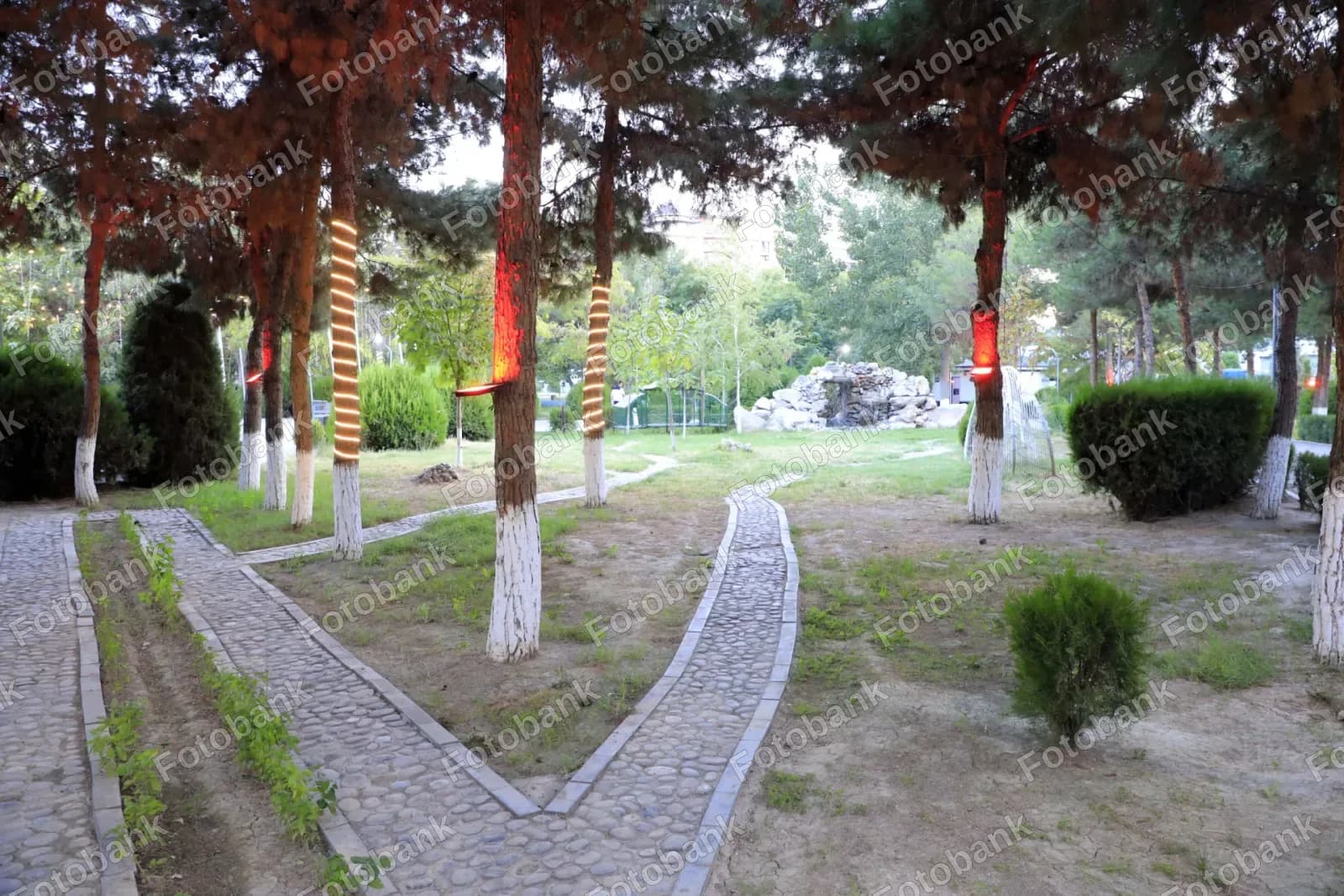 ko park — aholining sevimli dam olish maskani