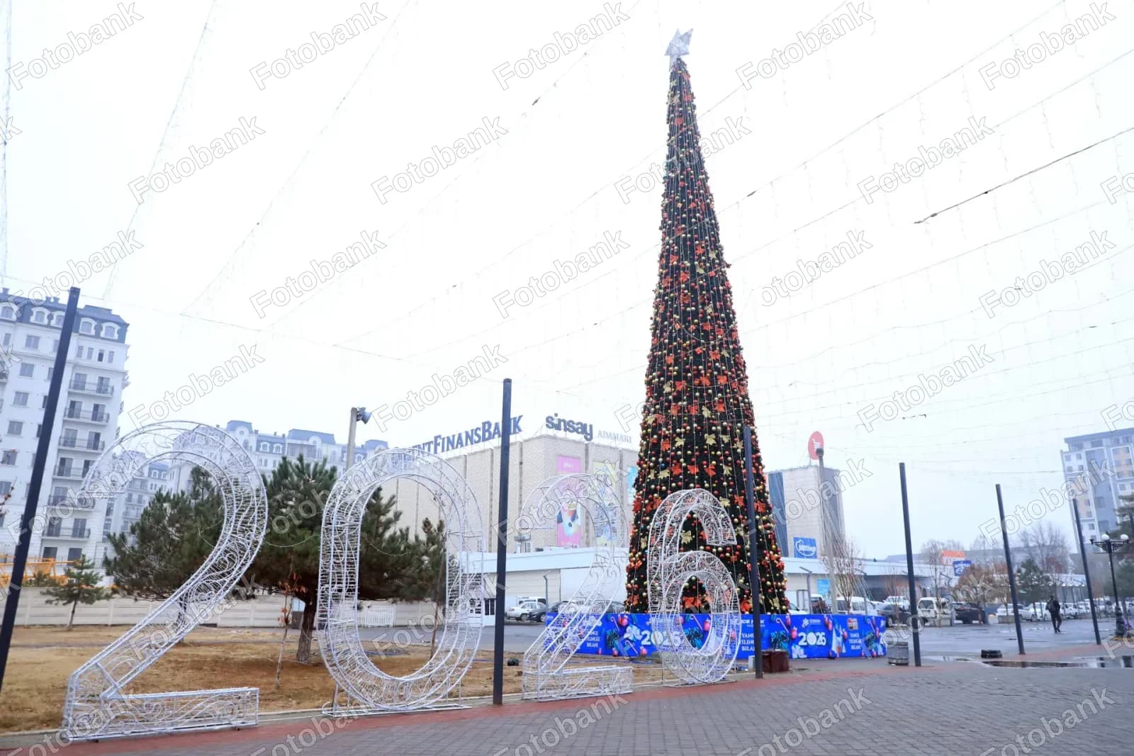 Tall christmas tree stands outdoors