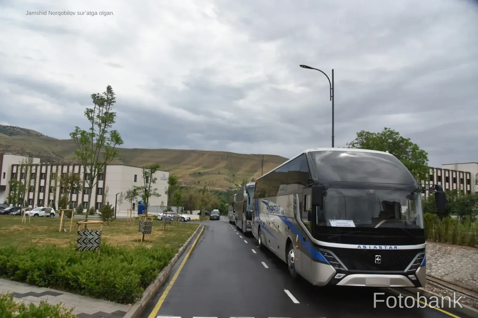 Туристические автобусы, припаркованные у дороги