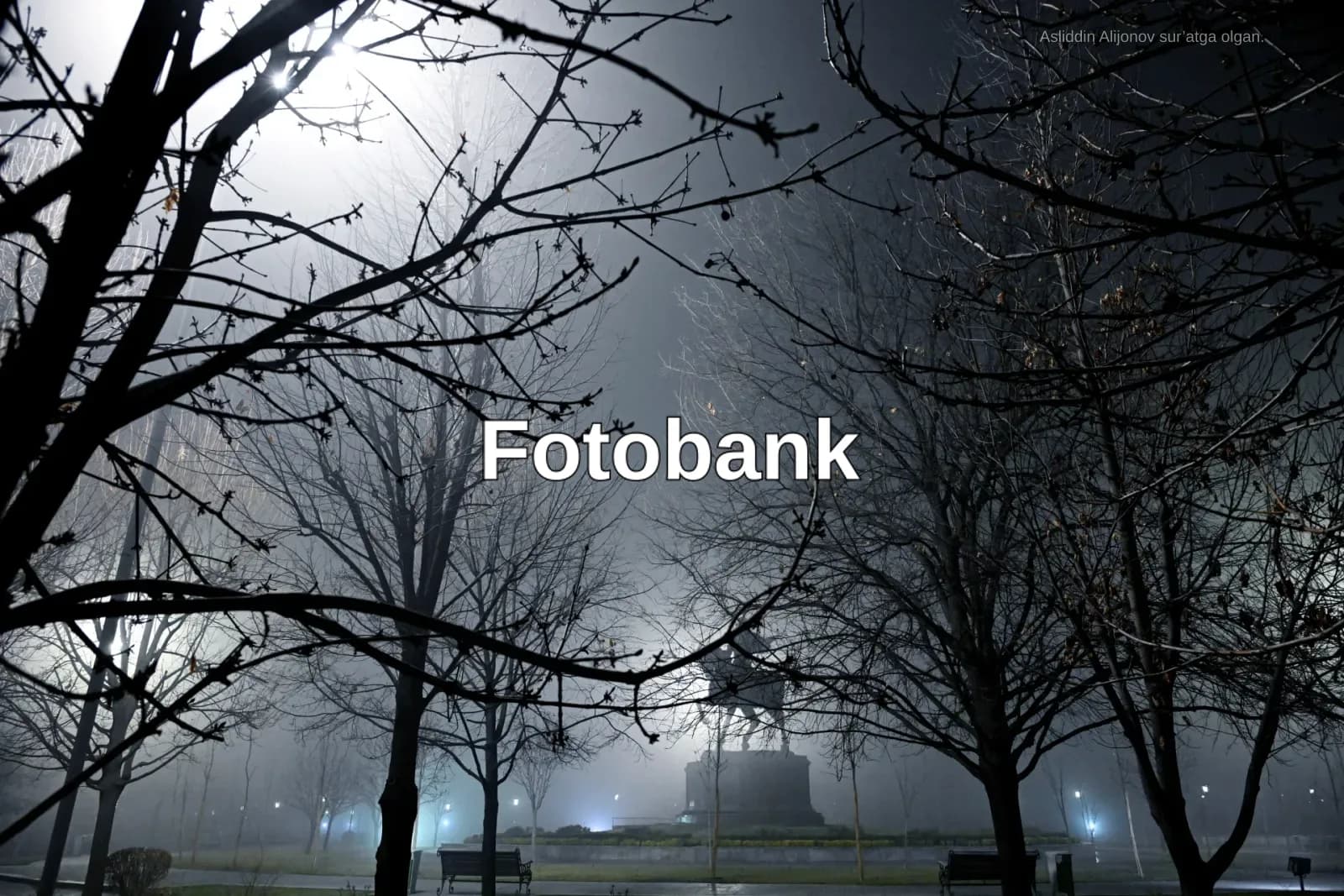 Parkdagi yalangʻoch daraxt shoxlari orqali koʻrilgan haykal