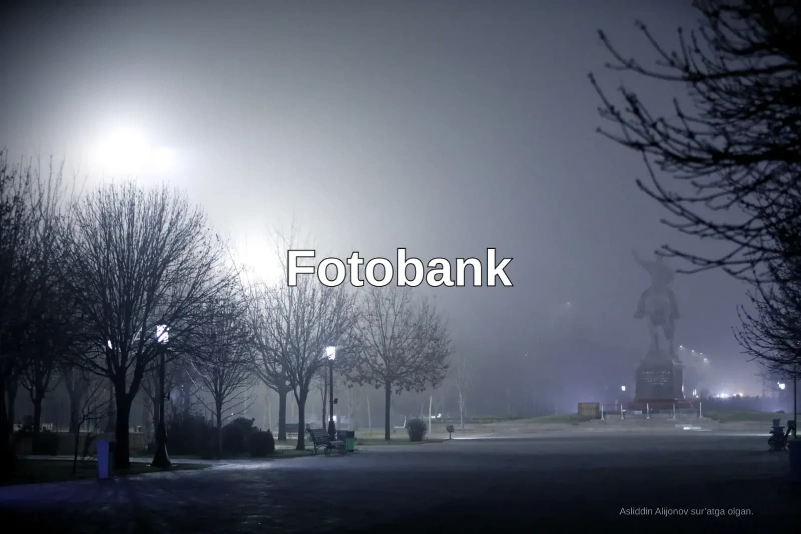 Daraxtlar va yodgorlik bilan tumanli park