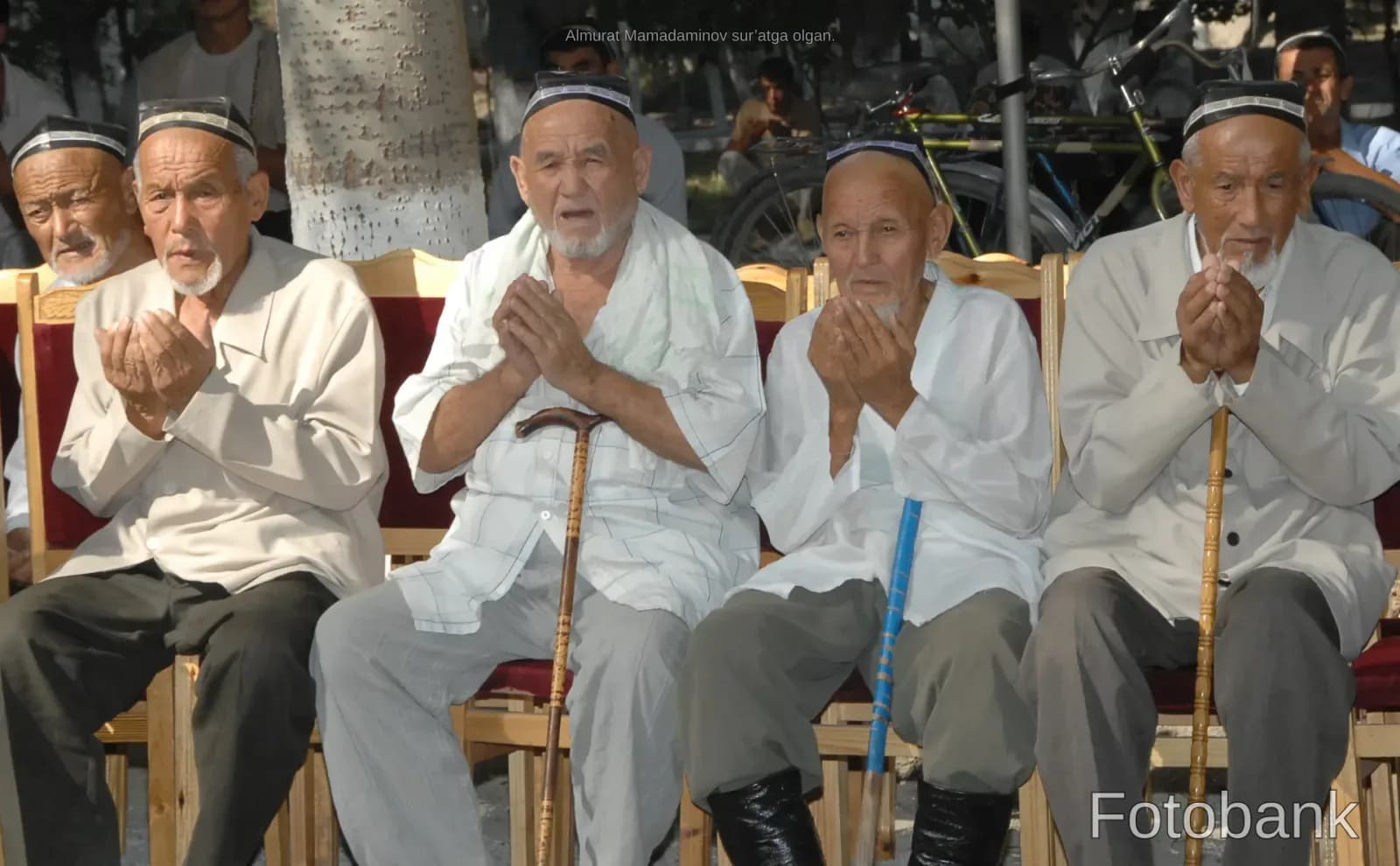 Seniors sitting together outdoors