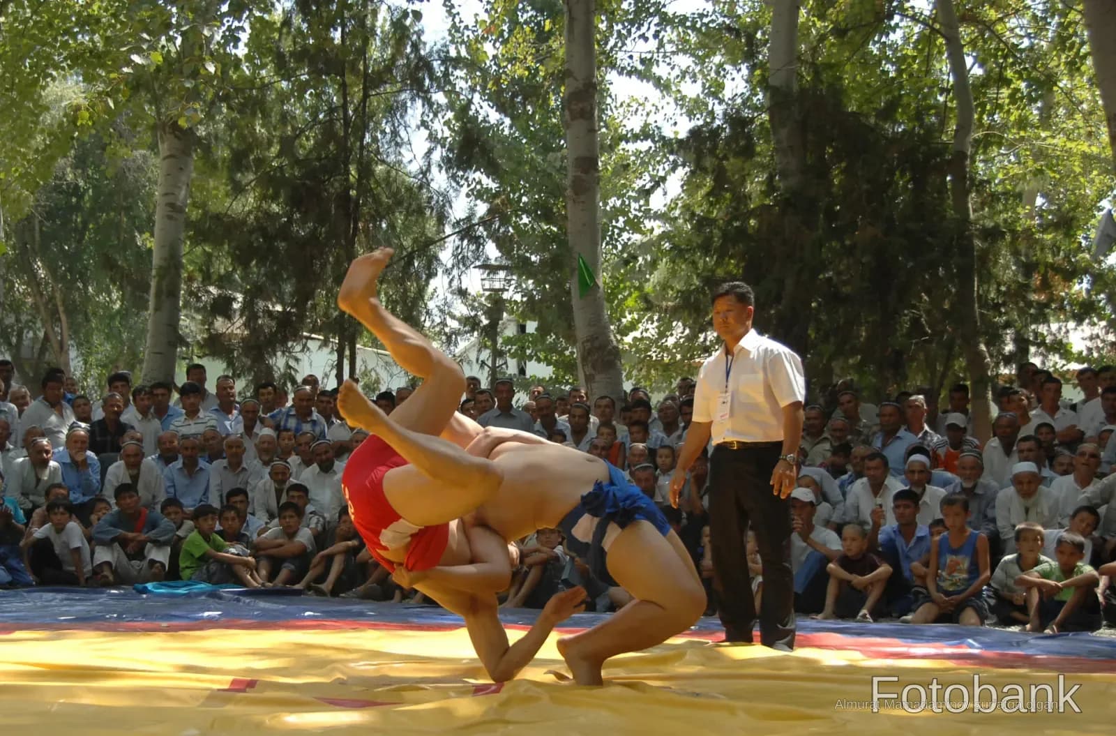 Athletes competing in traditional wrestling