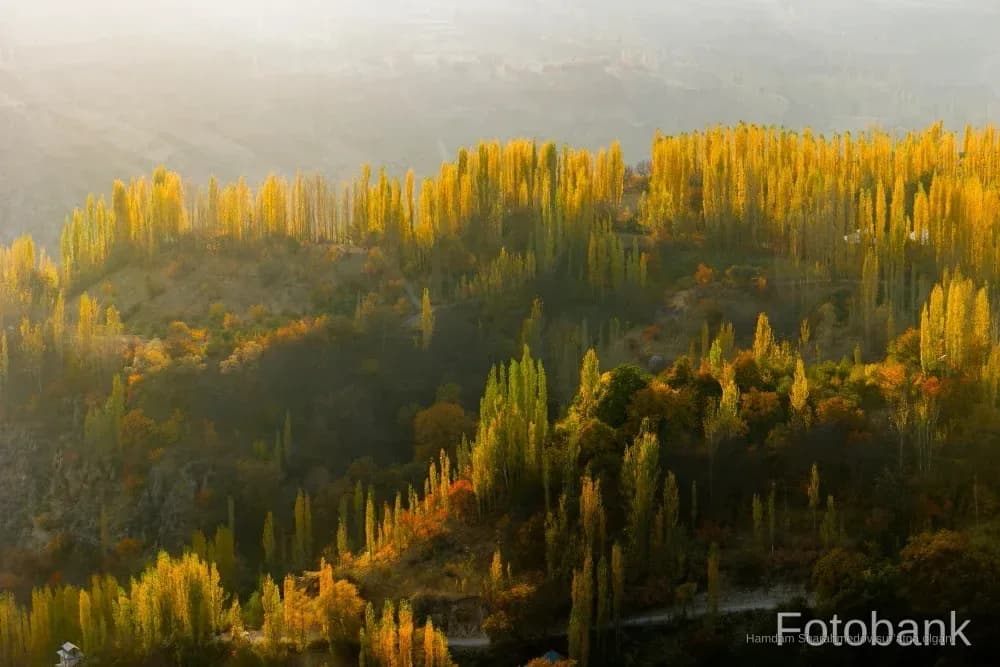 G'elondan reportaj